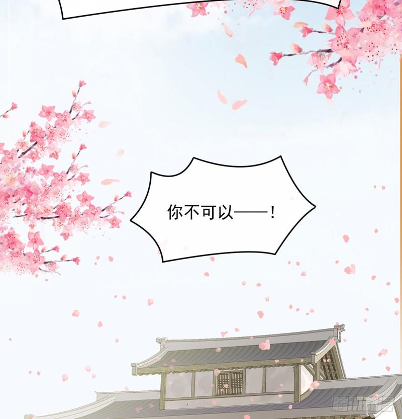 番外：诺诺的后宫70