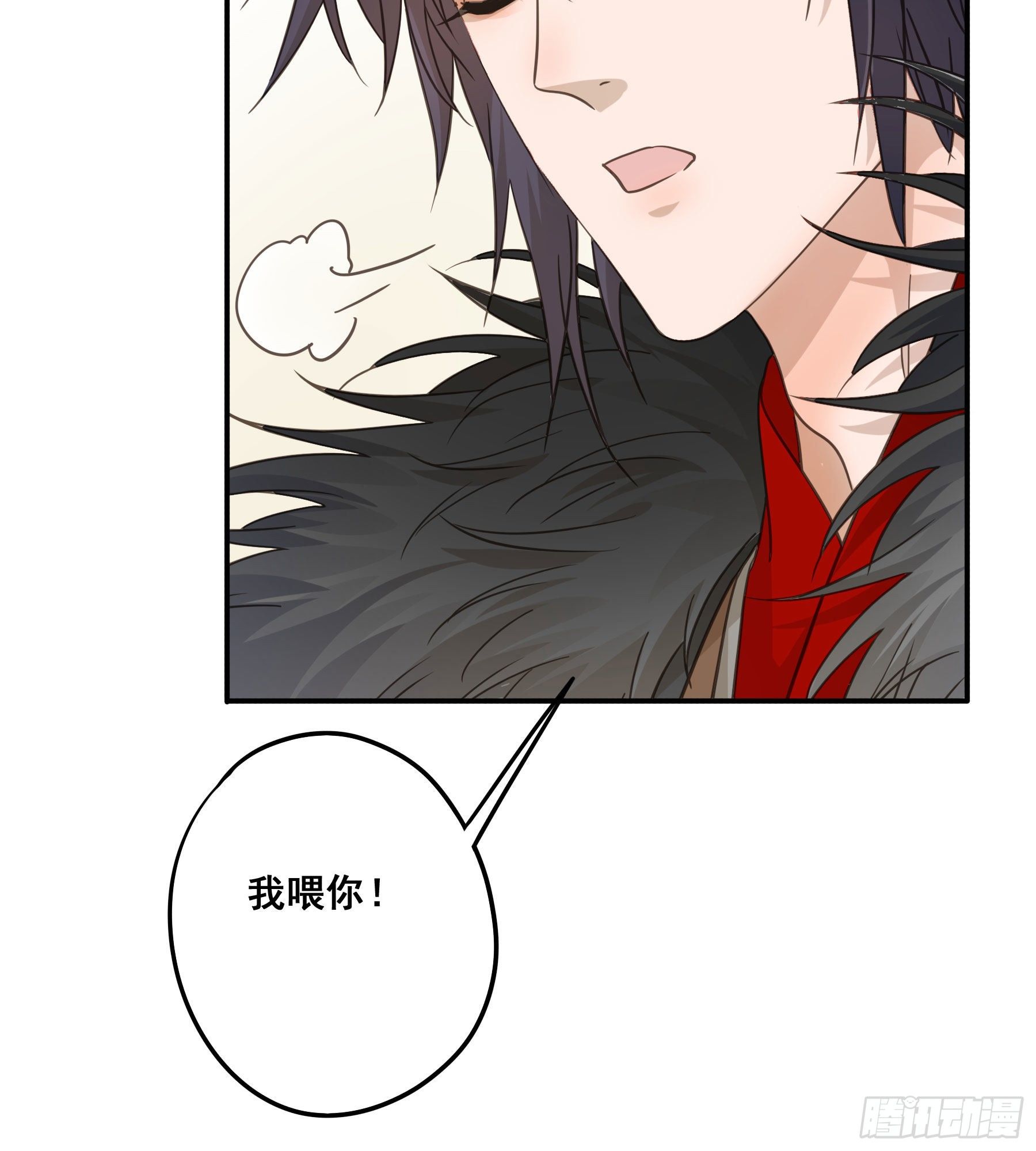 投喂11
