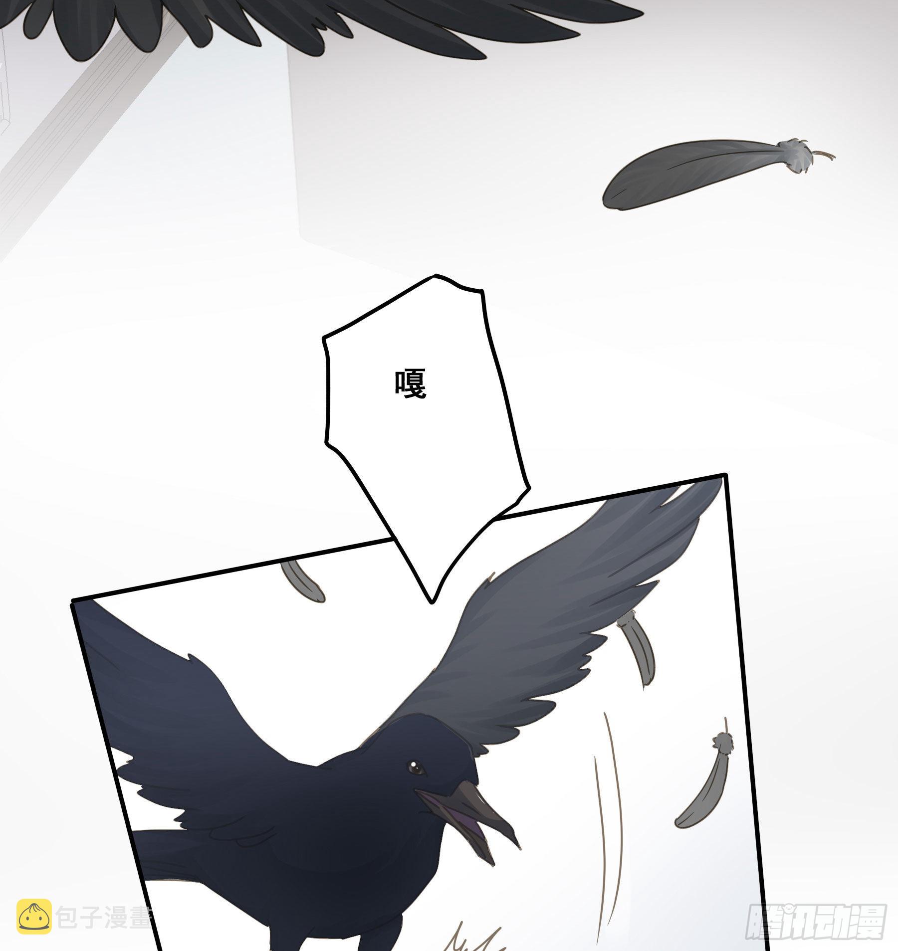 暗杀17