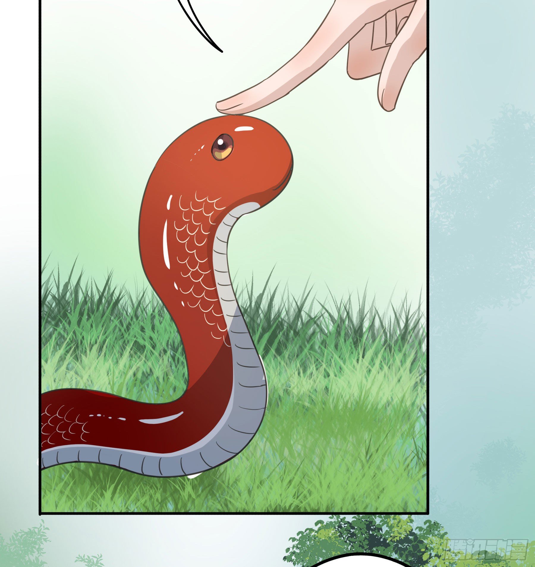 投喂29