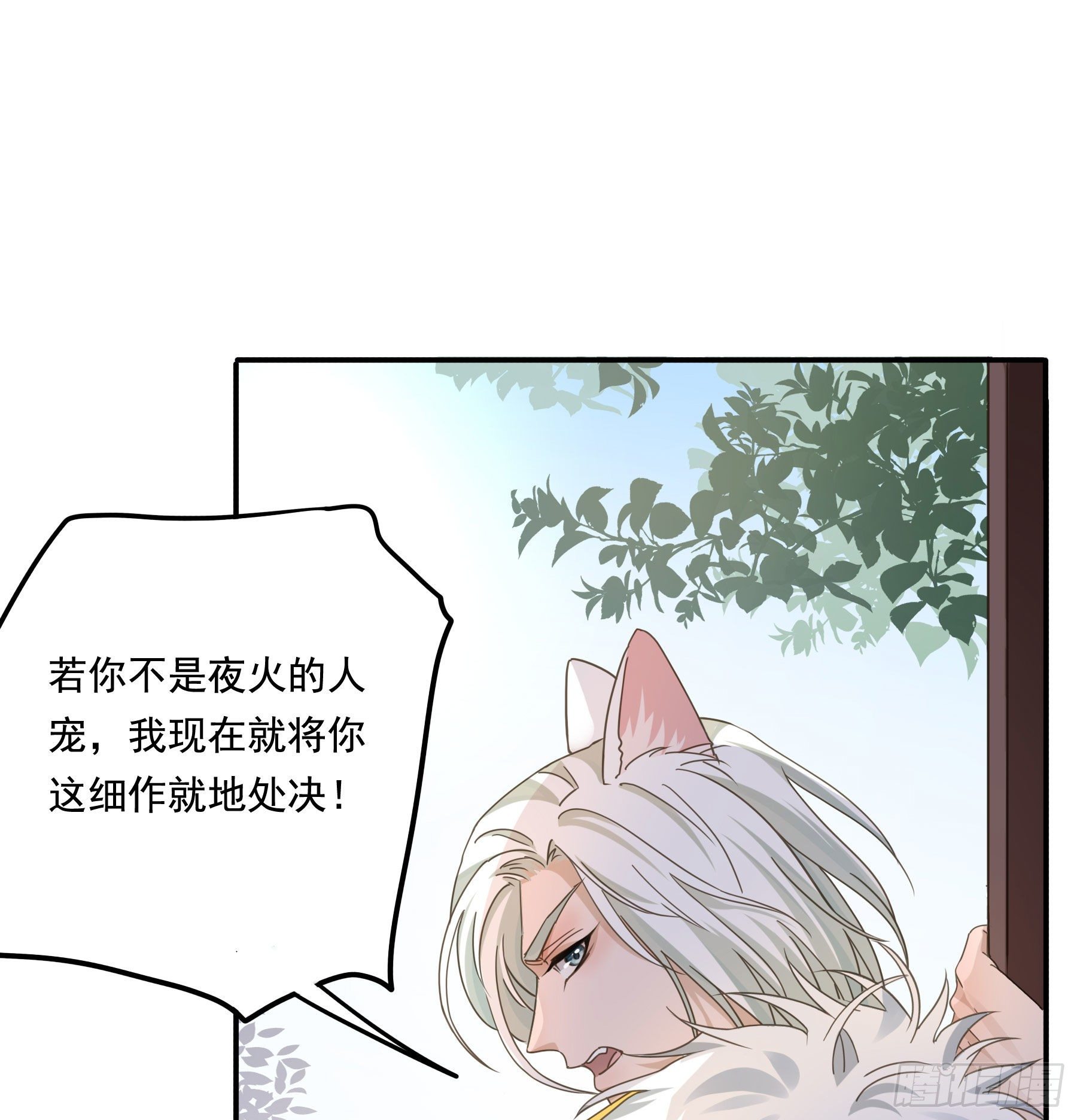 “前夫”上阵索妻6