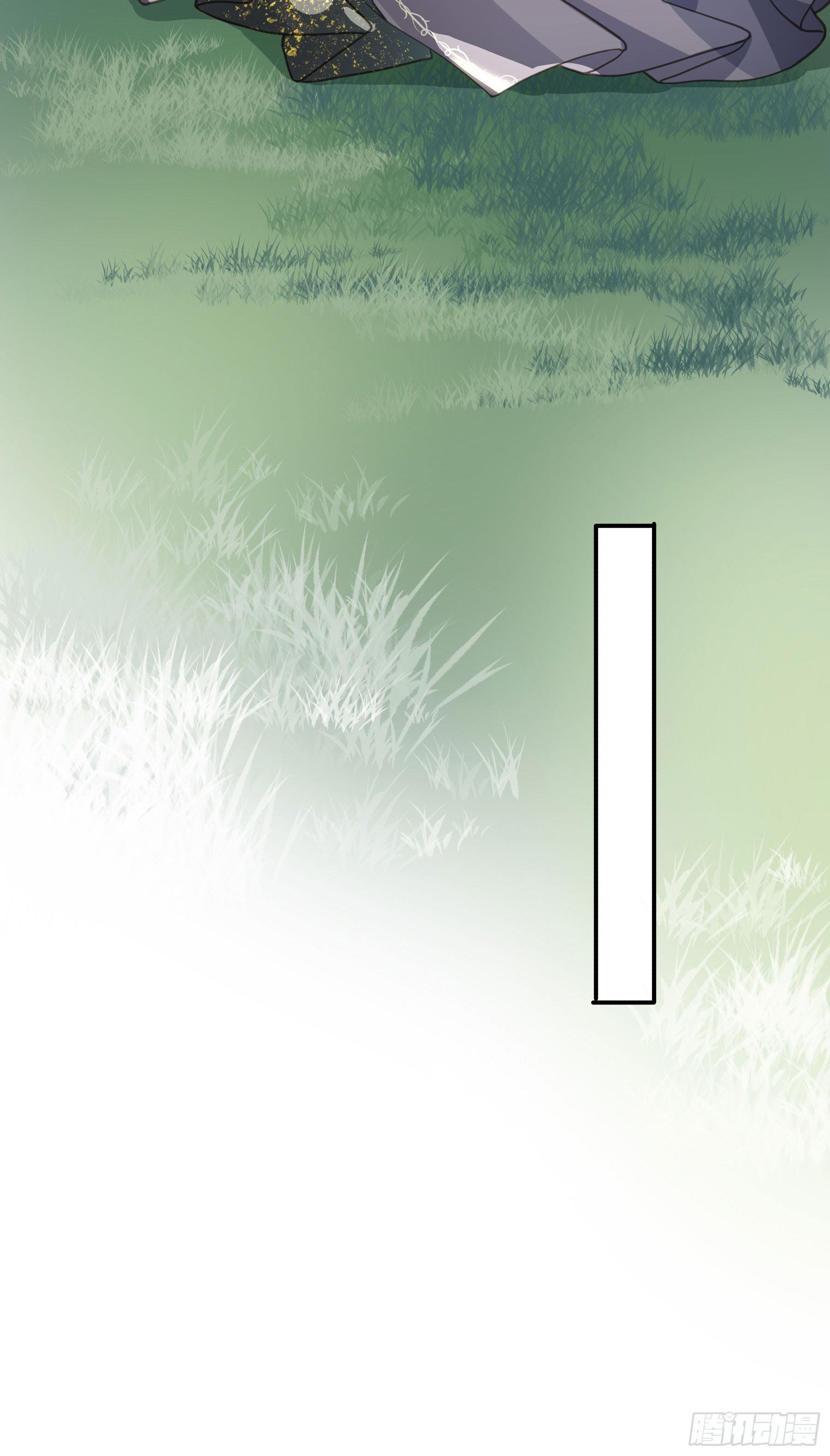 投喂40