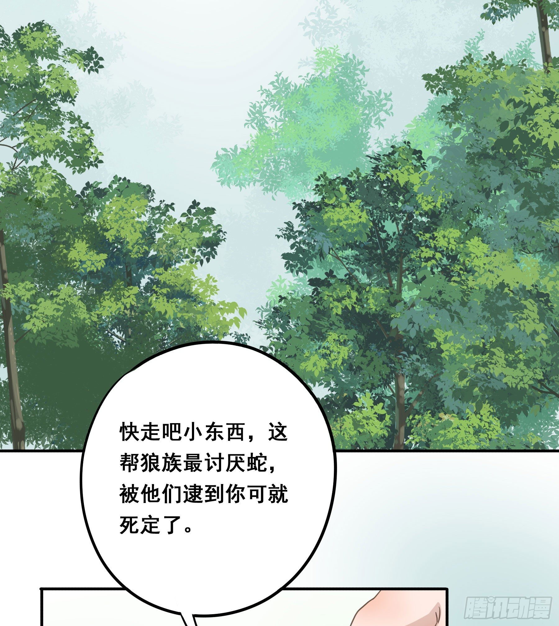 投喂28