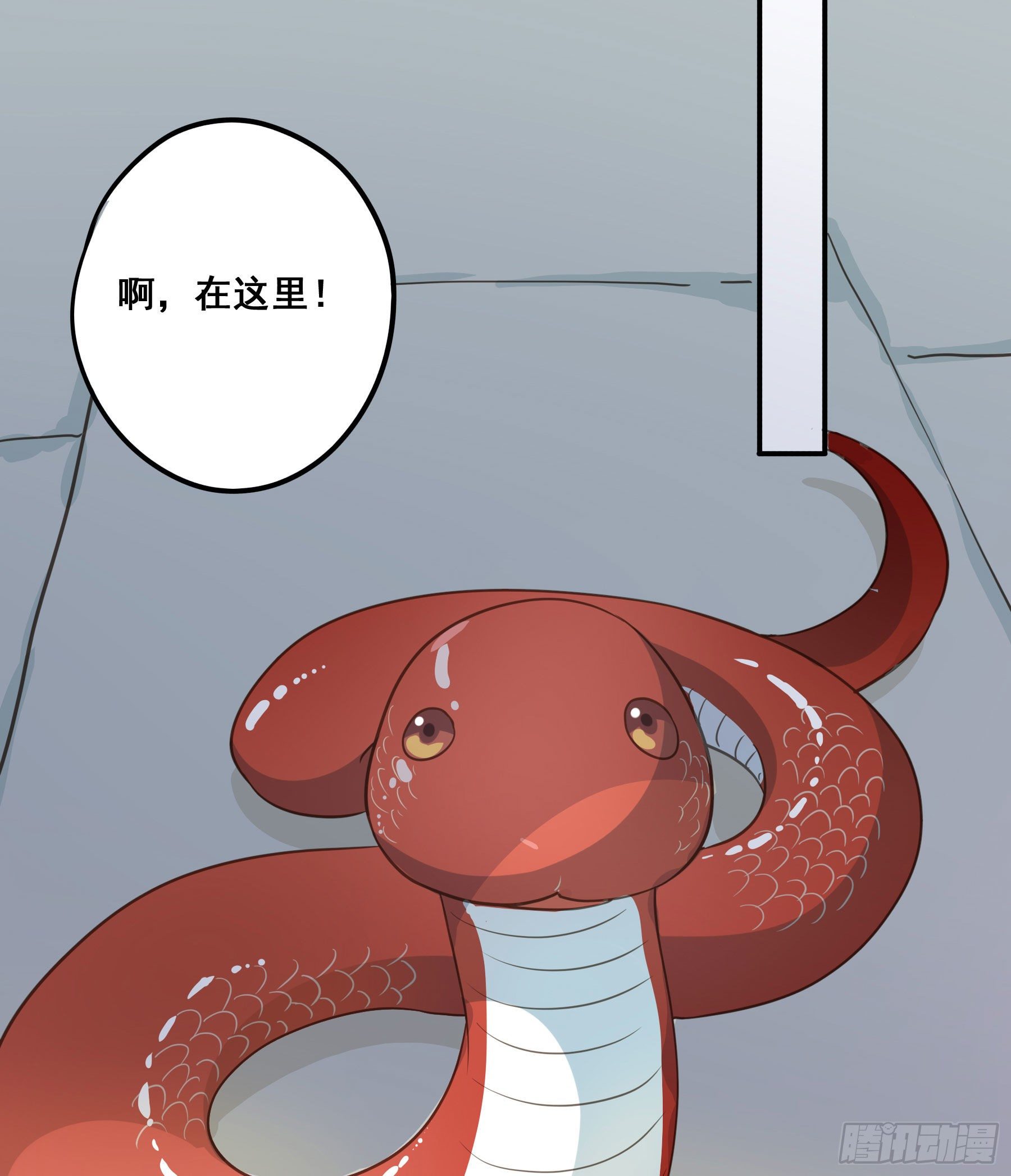 神纹荒狼40