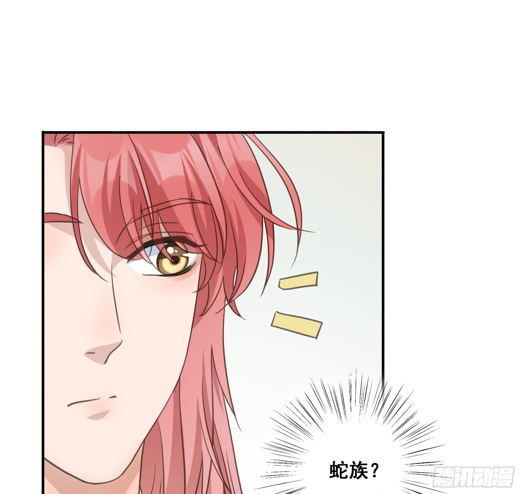 神纹荒狼33