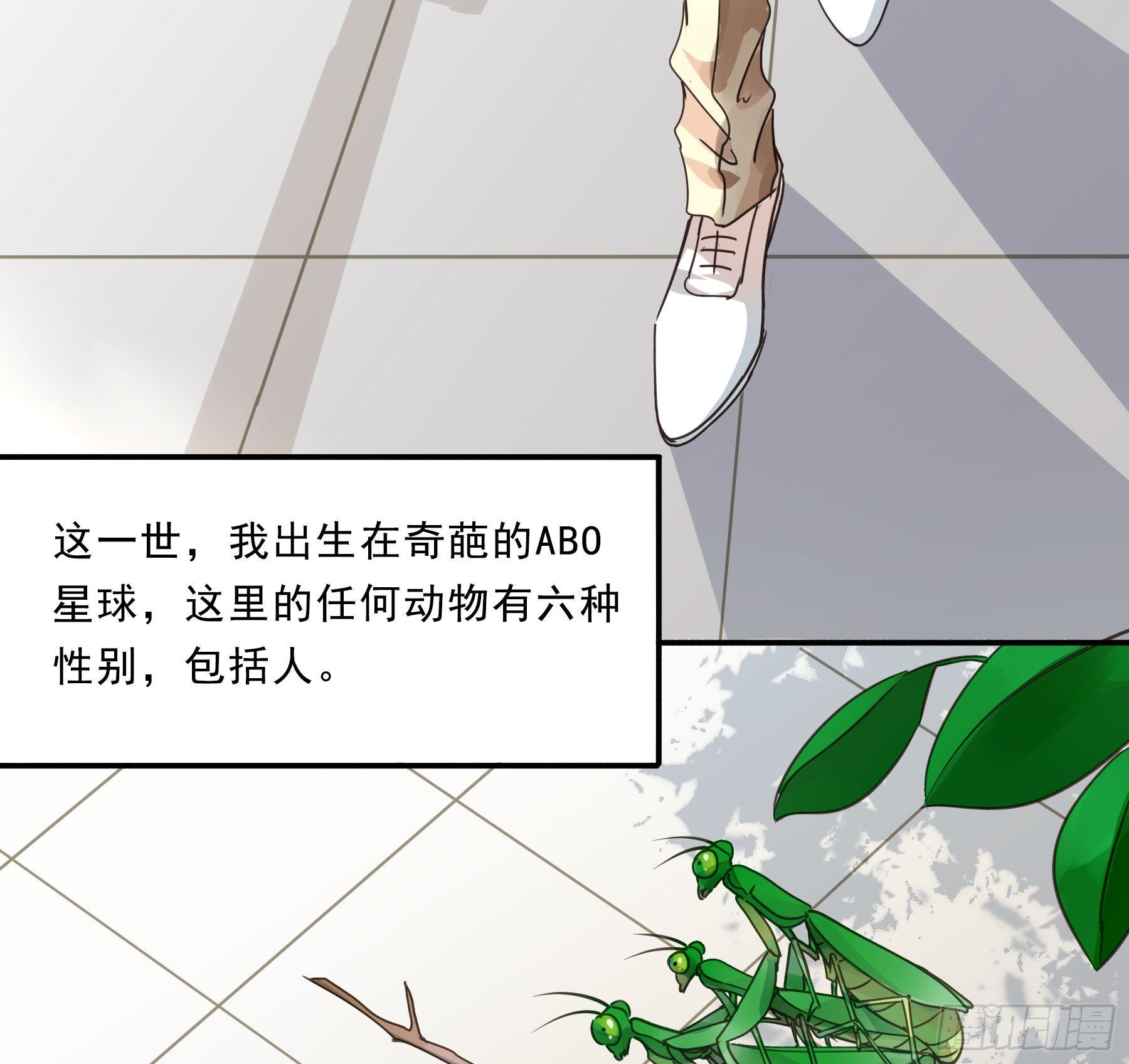 预告17
