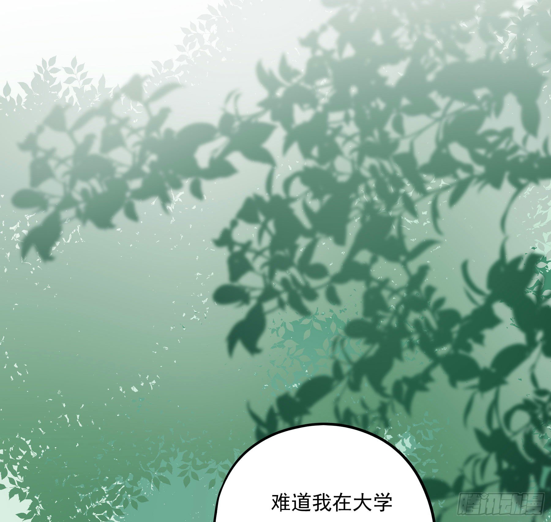 大学是什么书？37