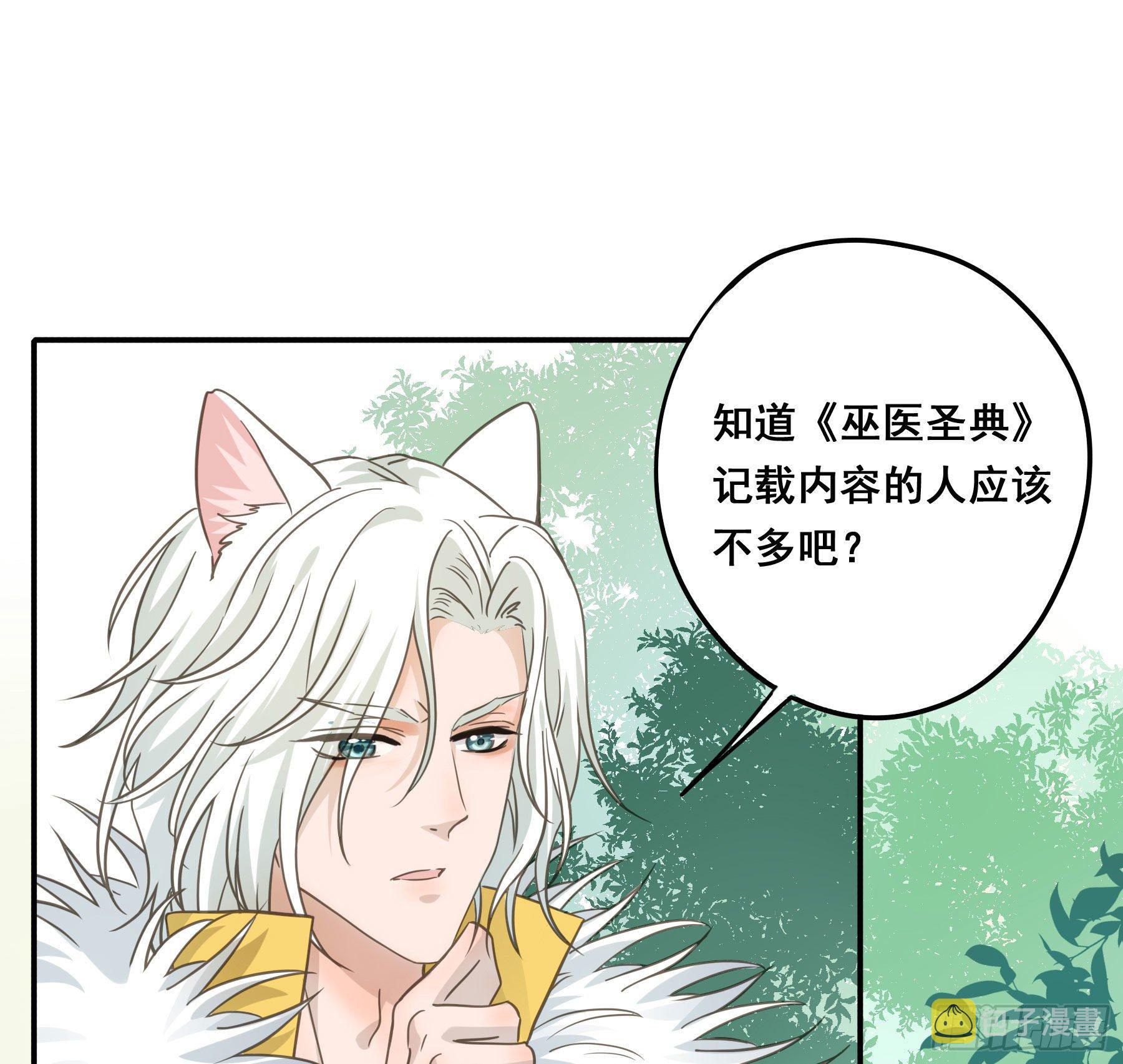 神纹荒狼2