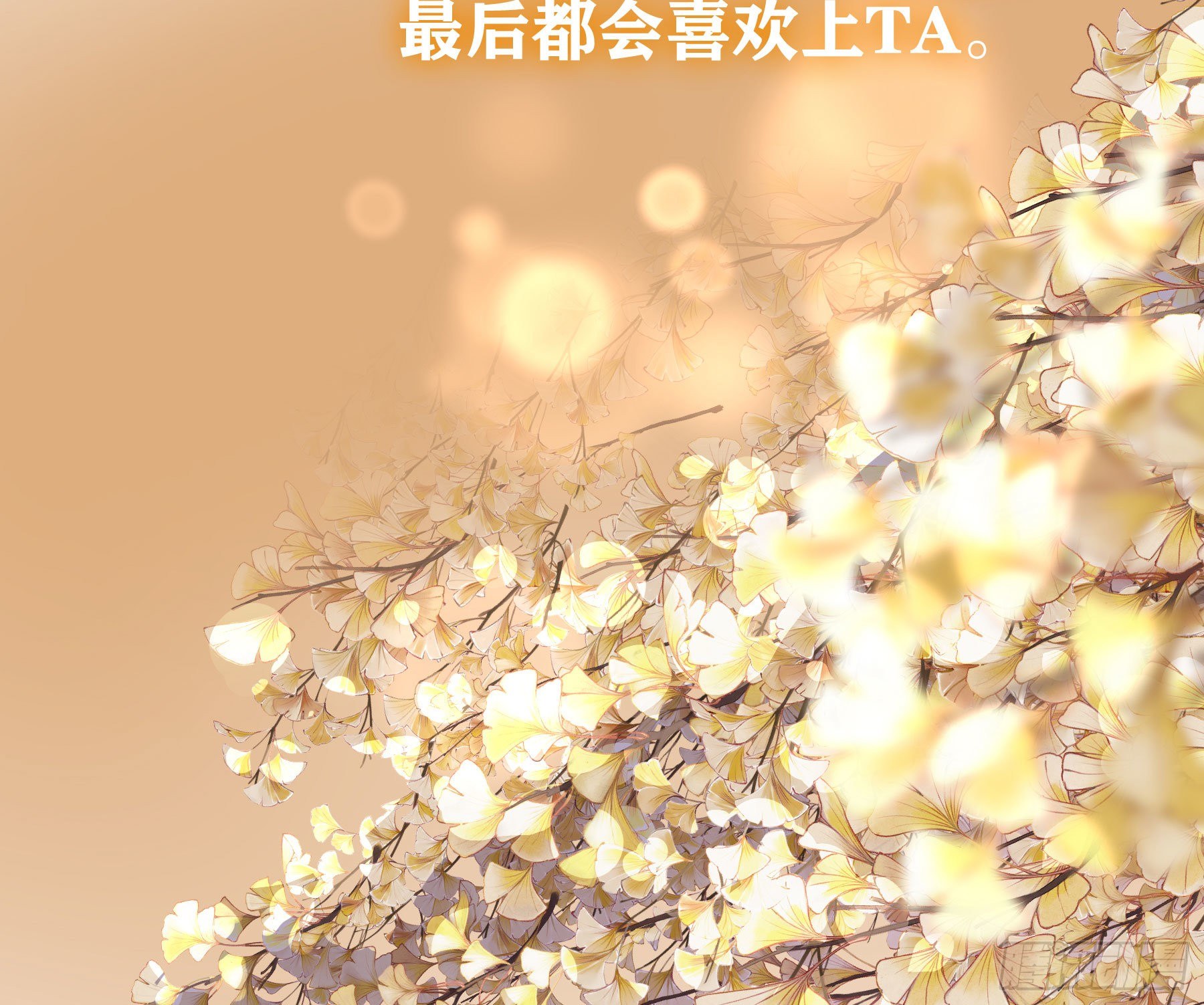 预告4