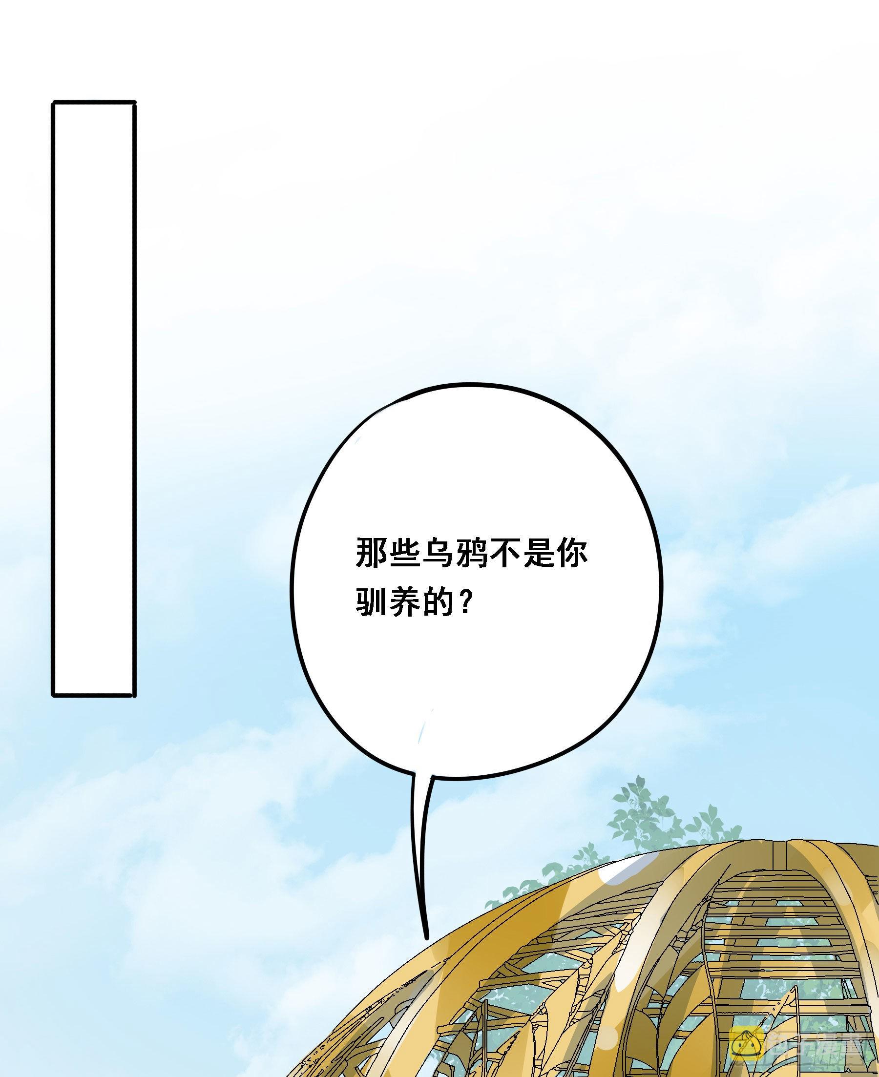 预谋48