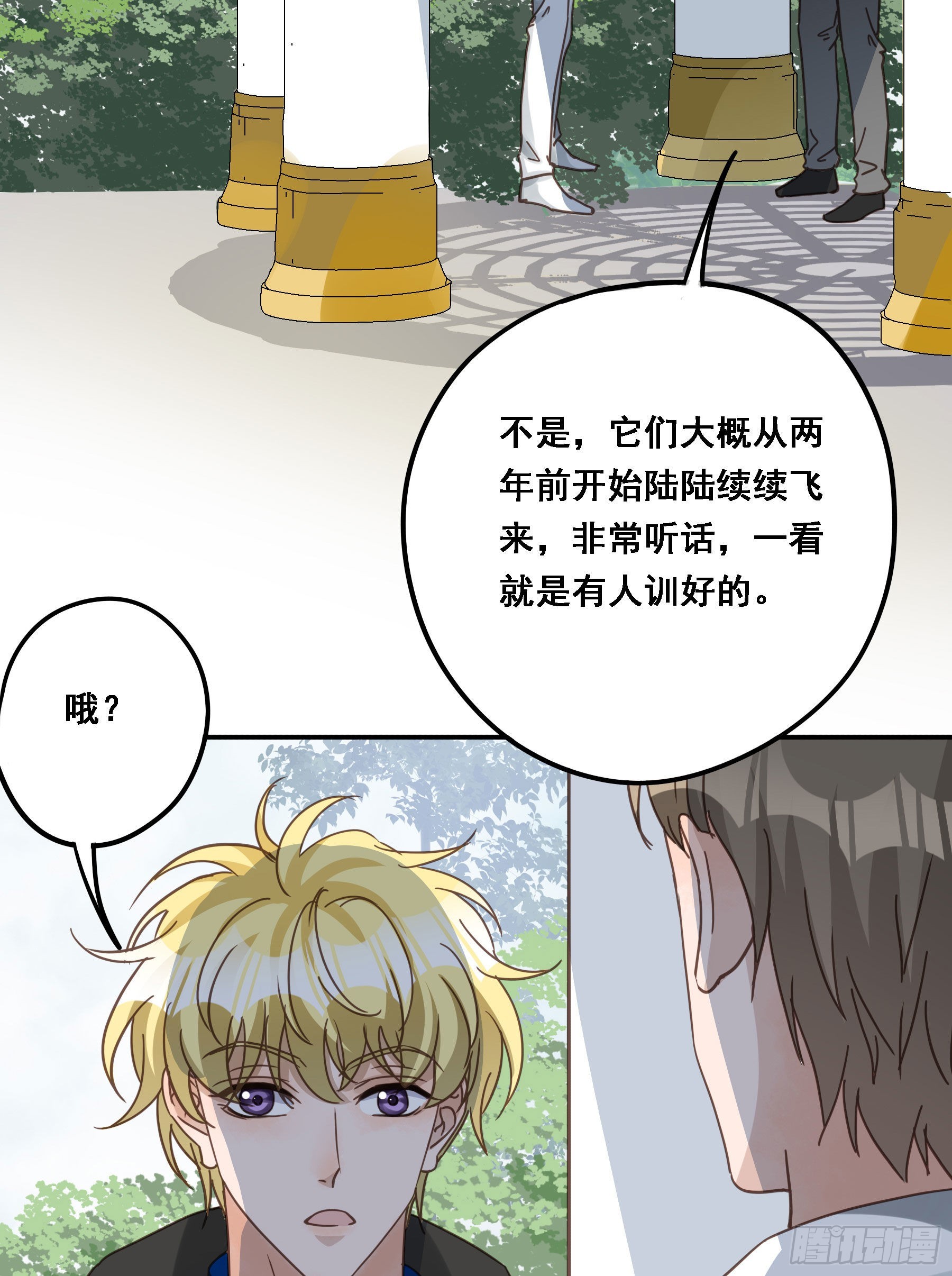 预谋50