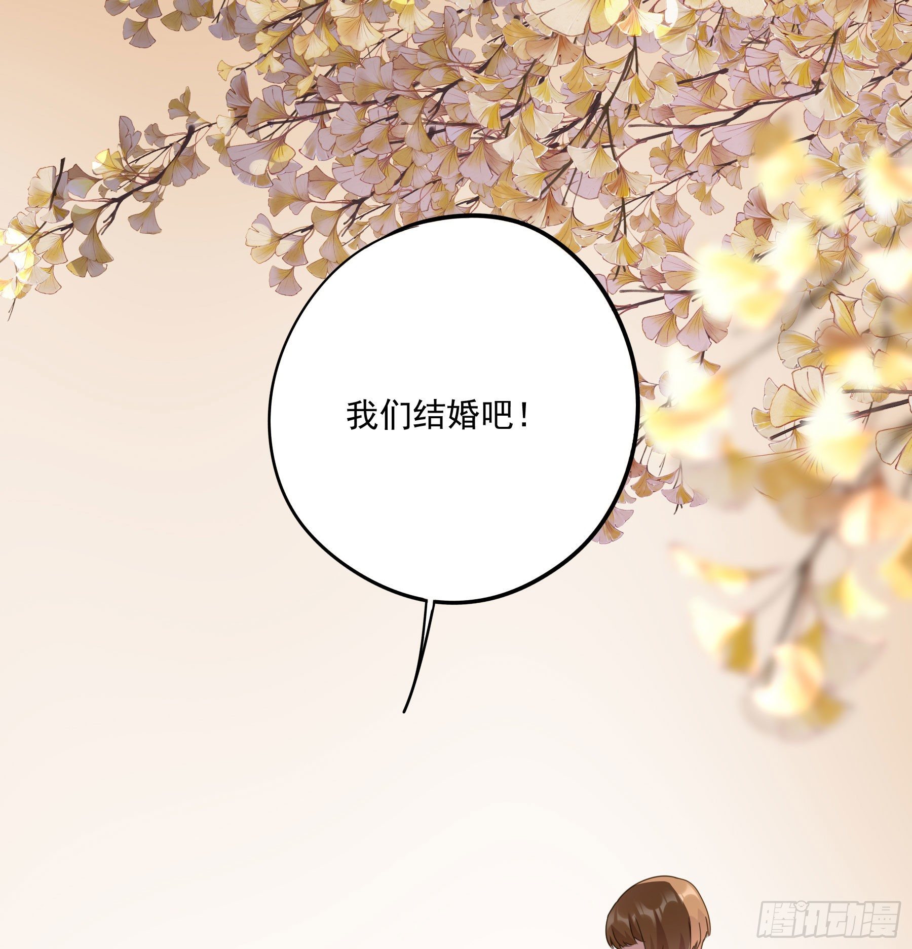 预告5