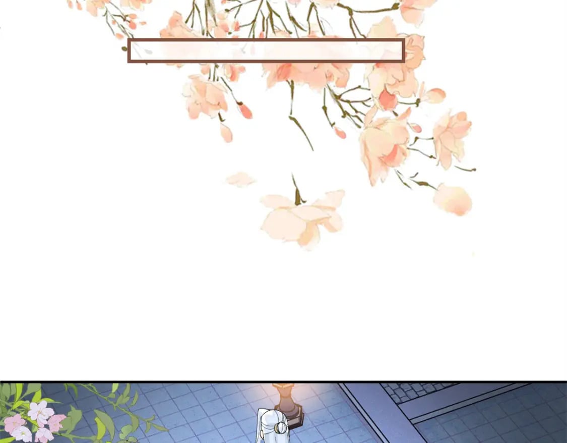 86 追妻之路还长18