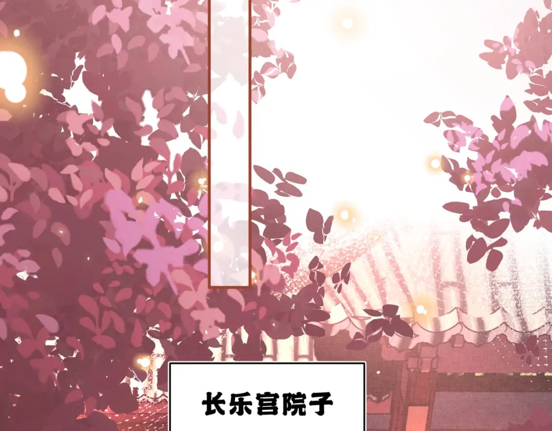 80 选秀纳妃50