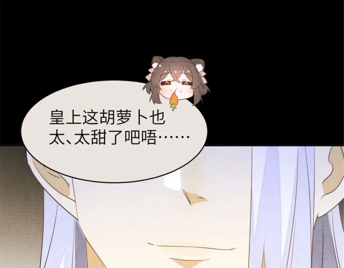 105 苍凌……71