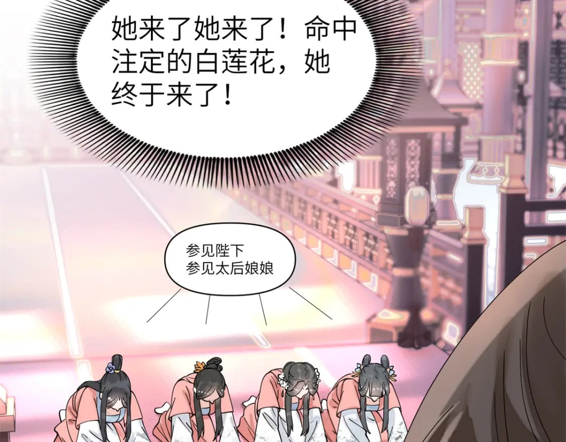 83 选秀大典44