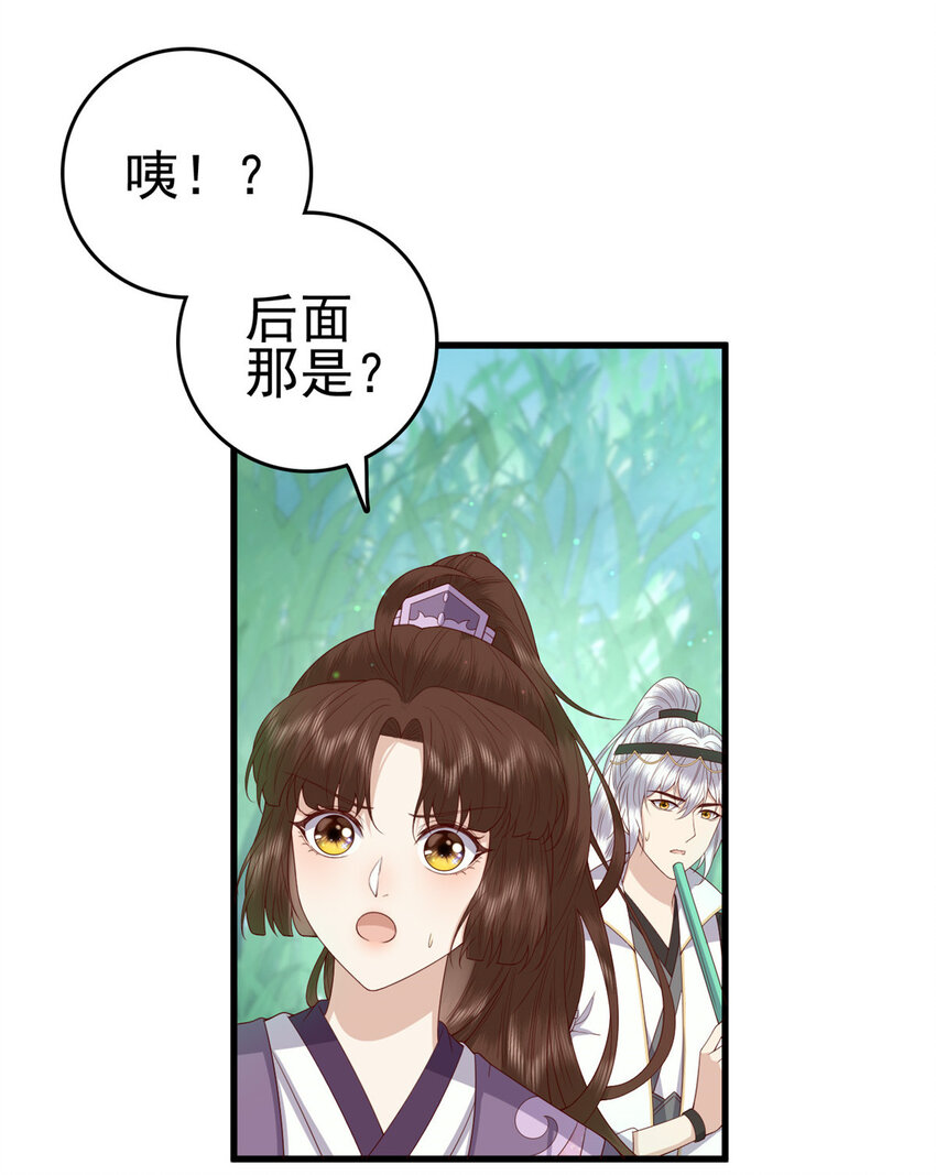 051 赤焰红槿2