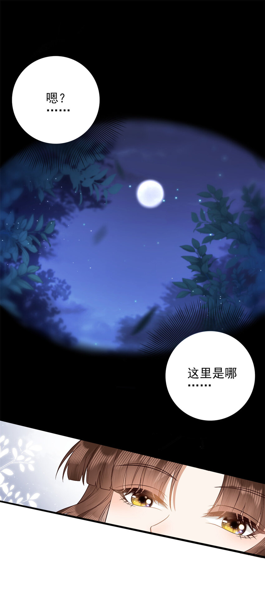 003 00353