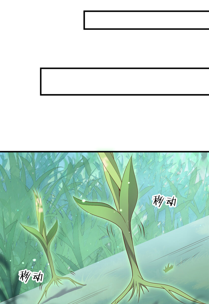 050 月溪谷仙草15