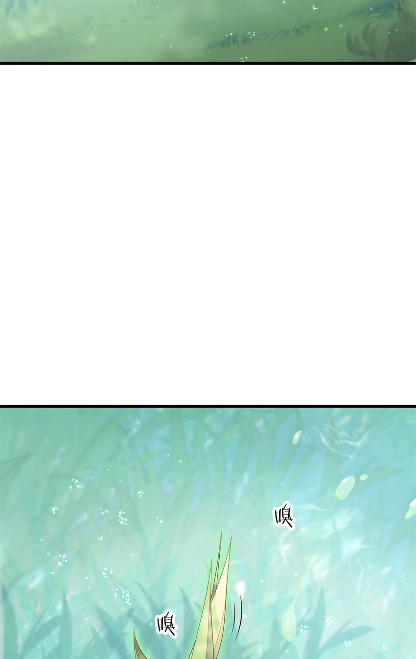 050 月溪谷仙草6