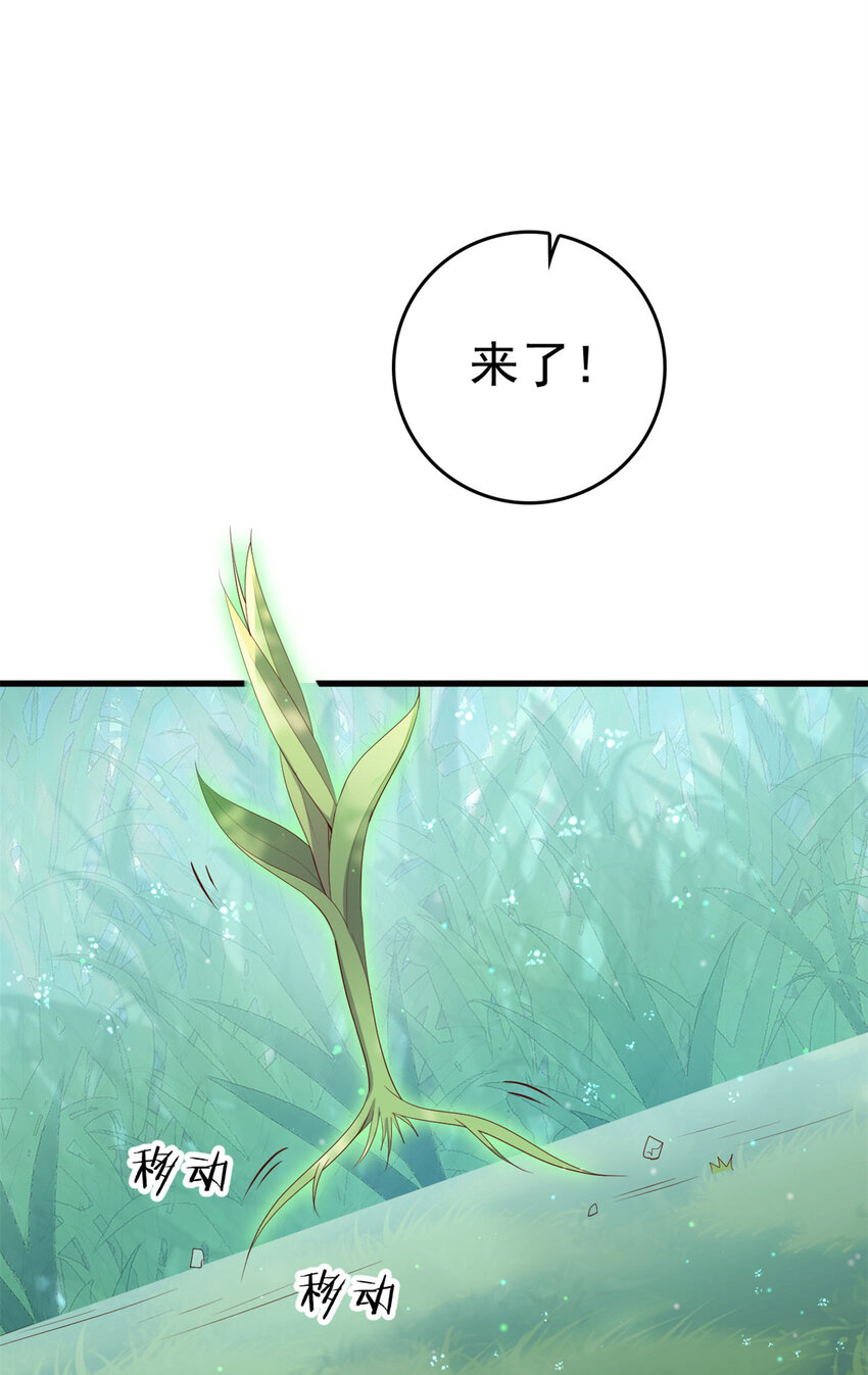 050 月溪谷仙草5