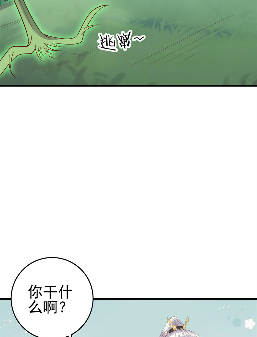 050 月溪谷仙草25