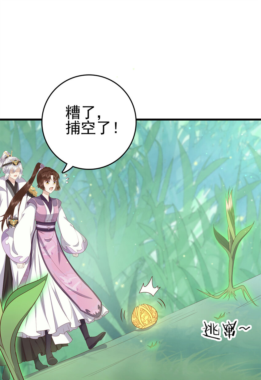 050 月溪谷仙草24