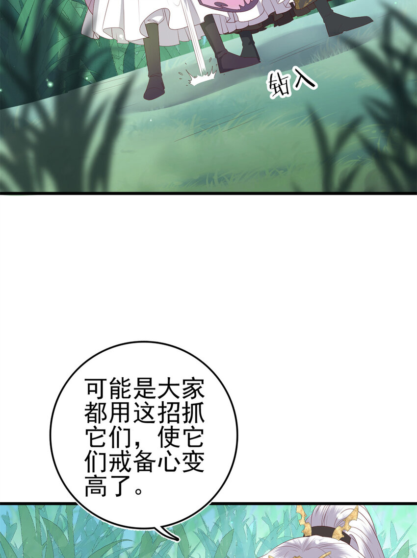 050 月溪谷仙草13