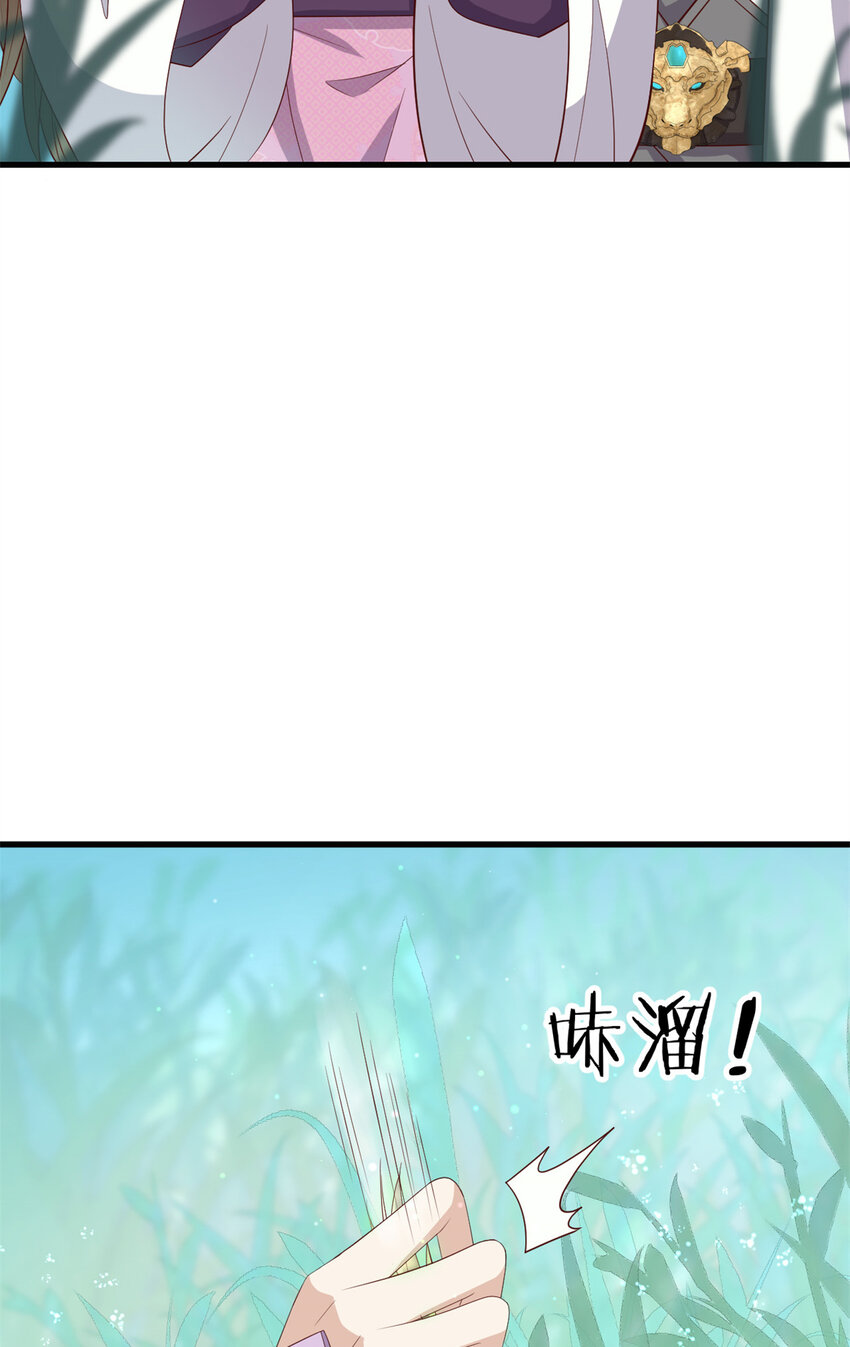 050 月溪谷仙草10