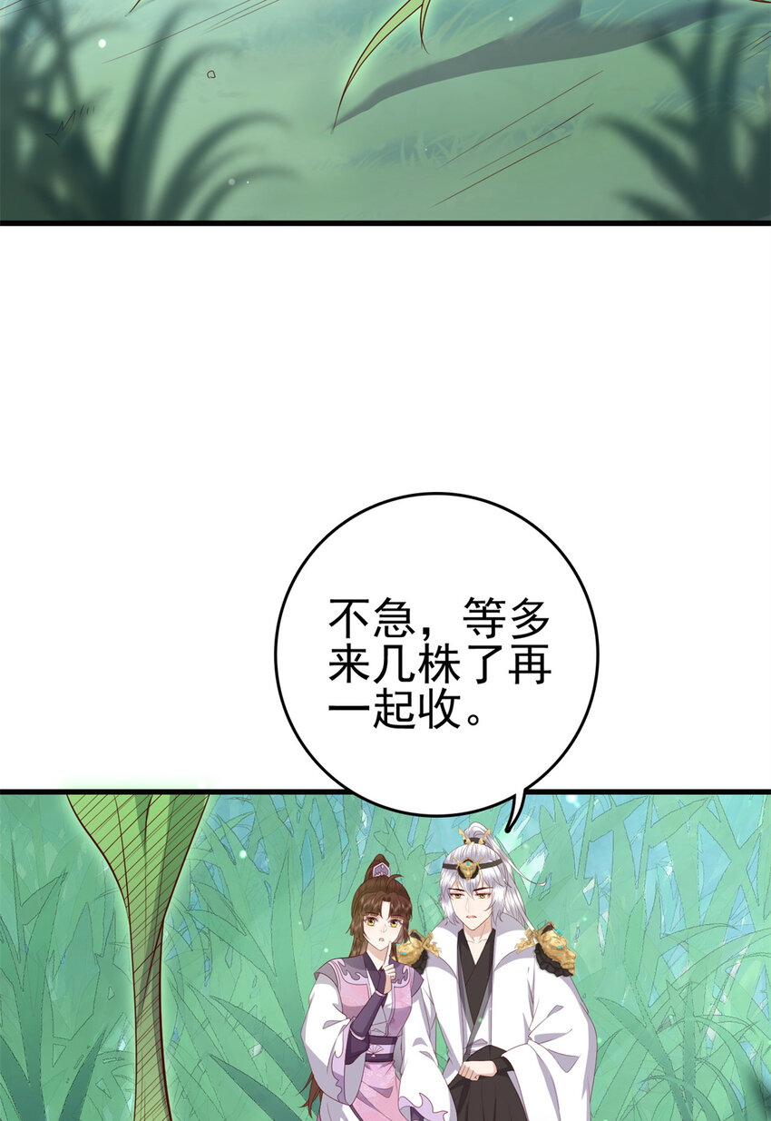 050 月溪谷仙草16