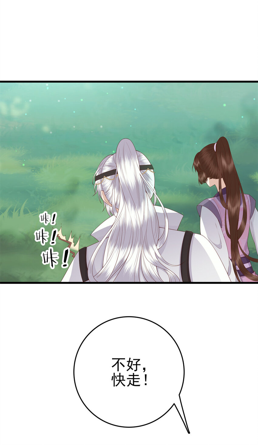 051 赤焰红槿7