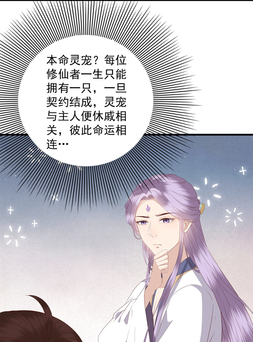 102 本命灵宠16