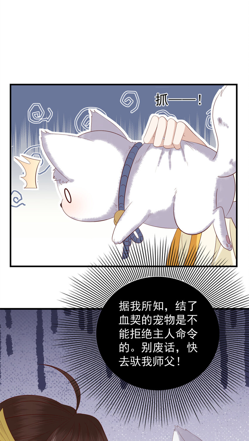 127 大型吃醋现场2
