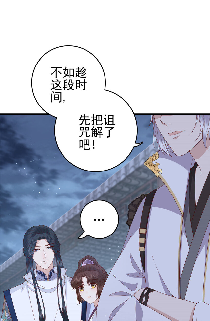 051 赤焰红槿30
