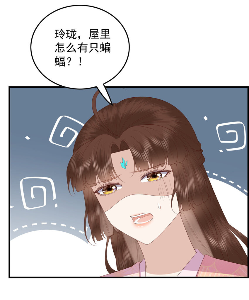 095 不要跟蝙蝠做朋友14