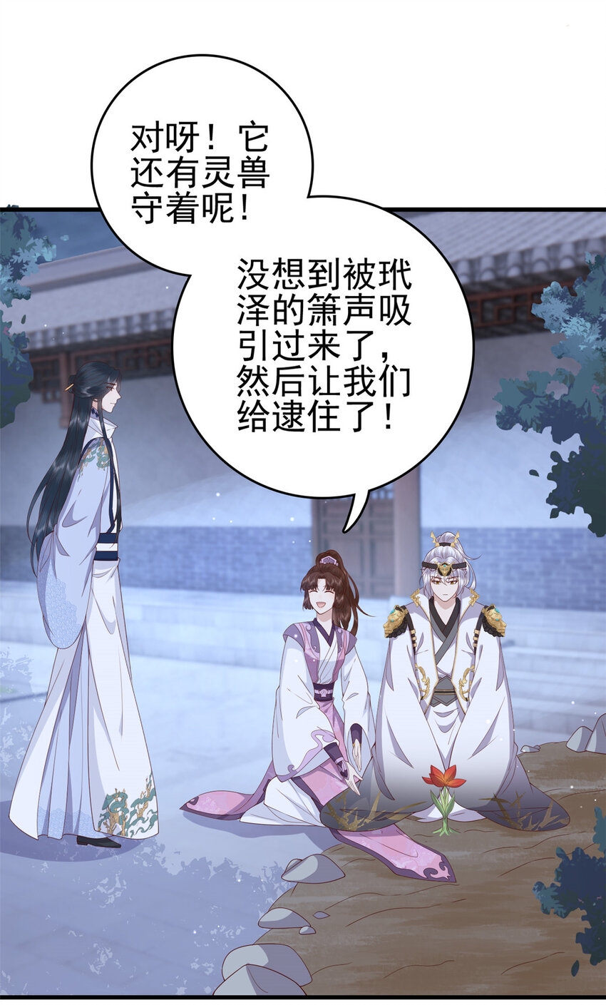 051 赤焰红槿21