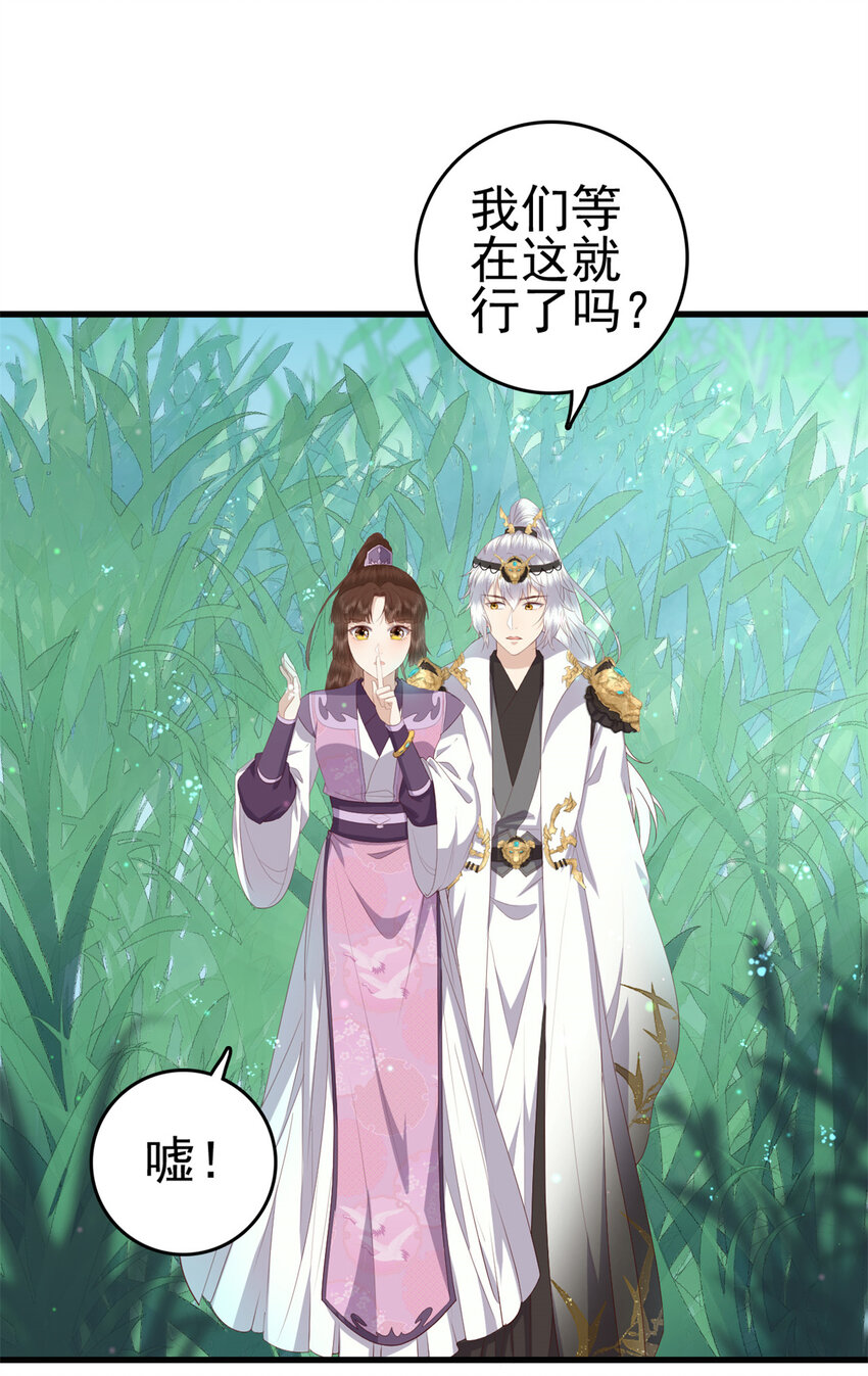 050 月溪谷仙草3