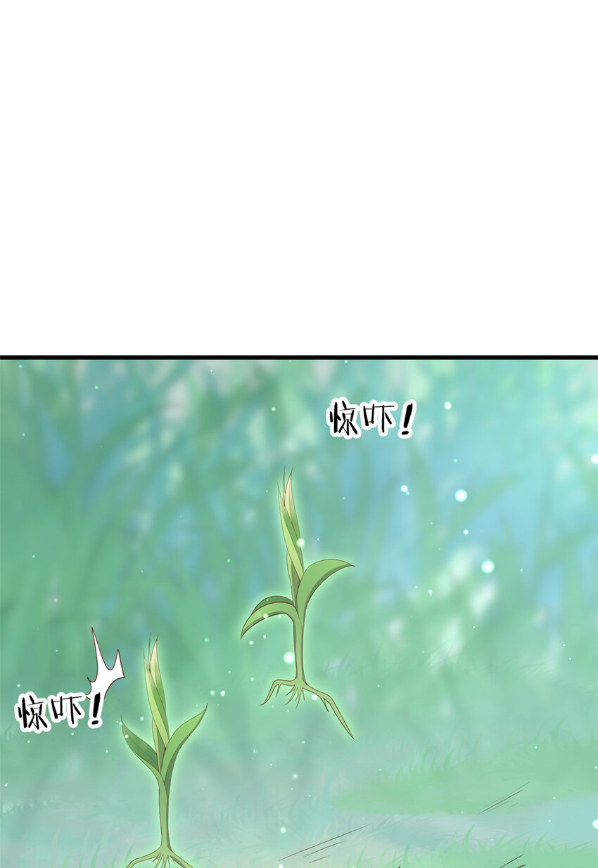 050 月溪谷仙草22