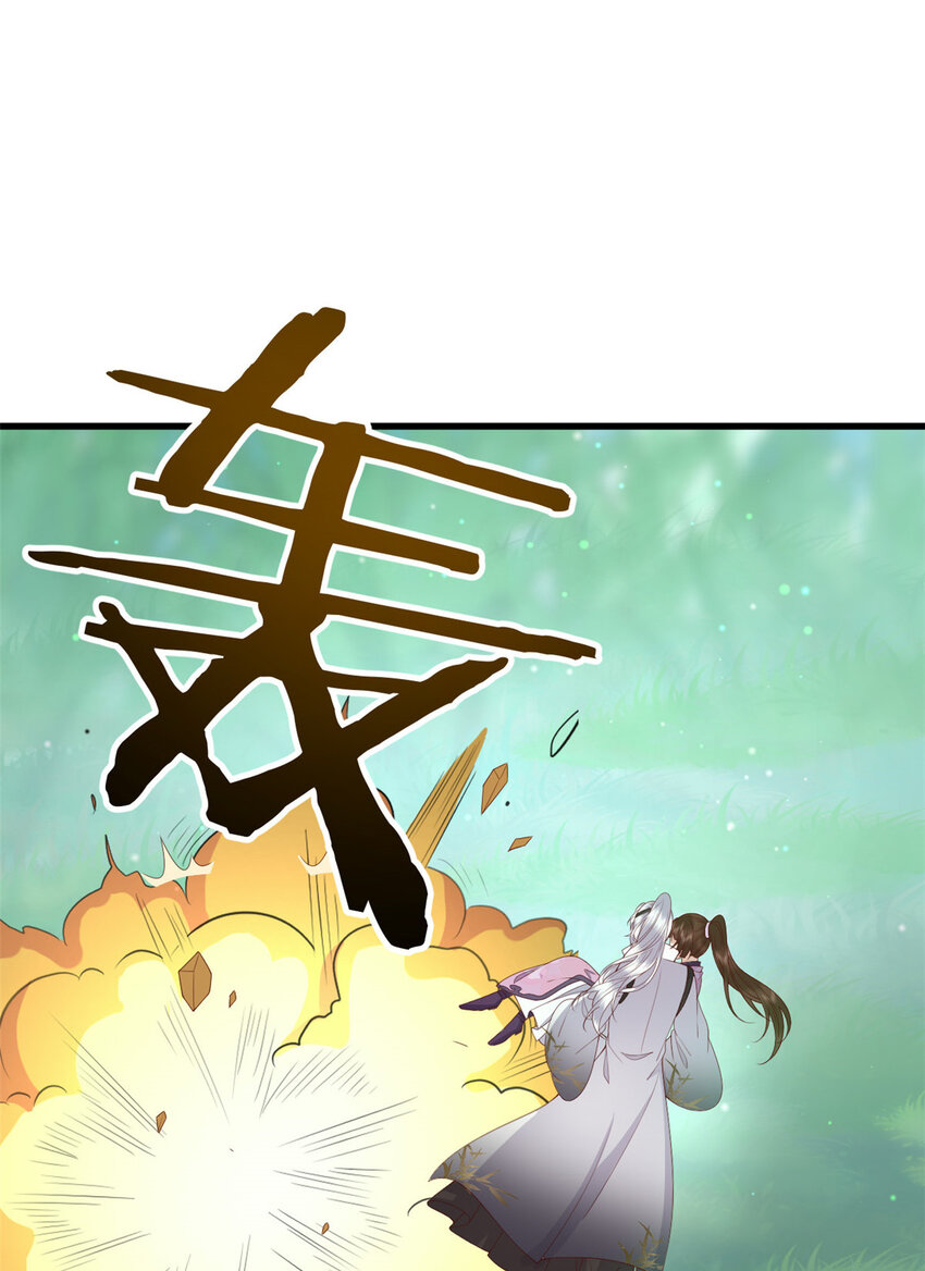 051 赤焰红槿9