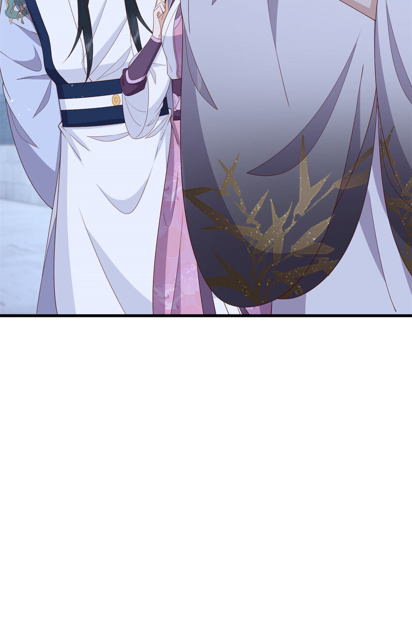 051 赤焰红槿31