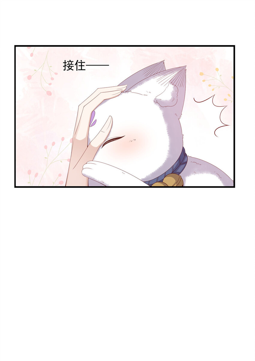 101 不敢要的宠物34