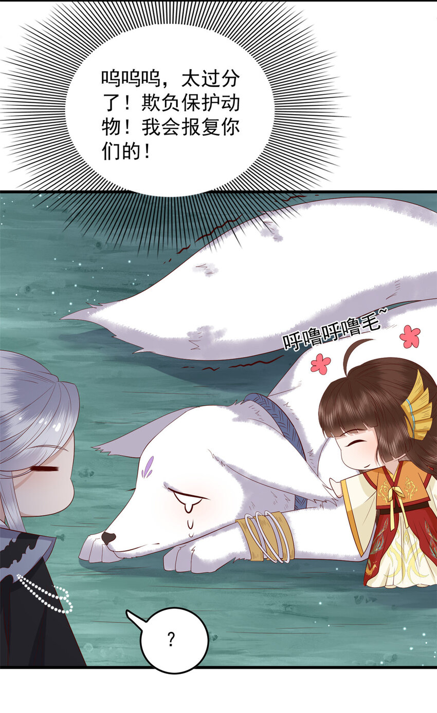 127 大型吃醋现场4