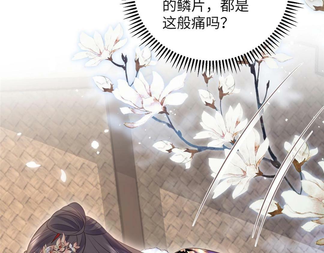 048 一生只向一人求爱38