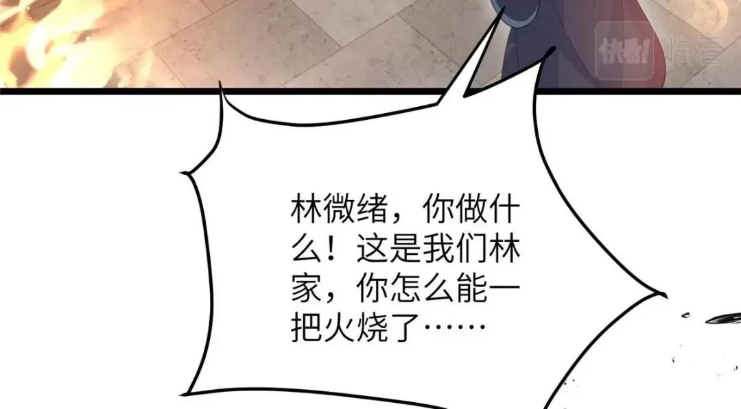 041 这林家烧了吧20