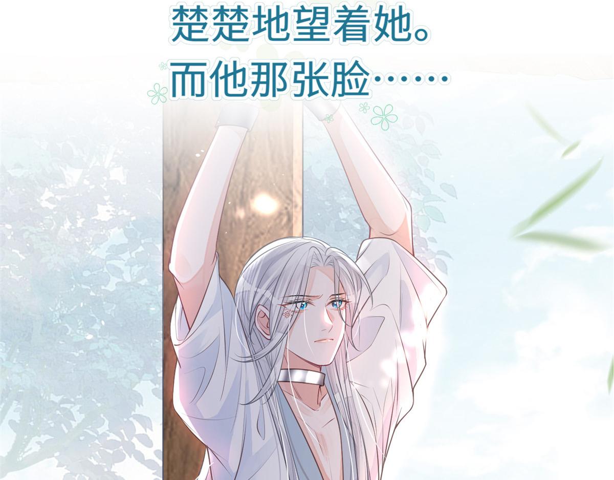 预告7
