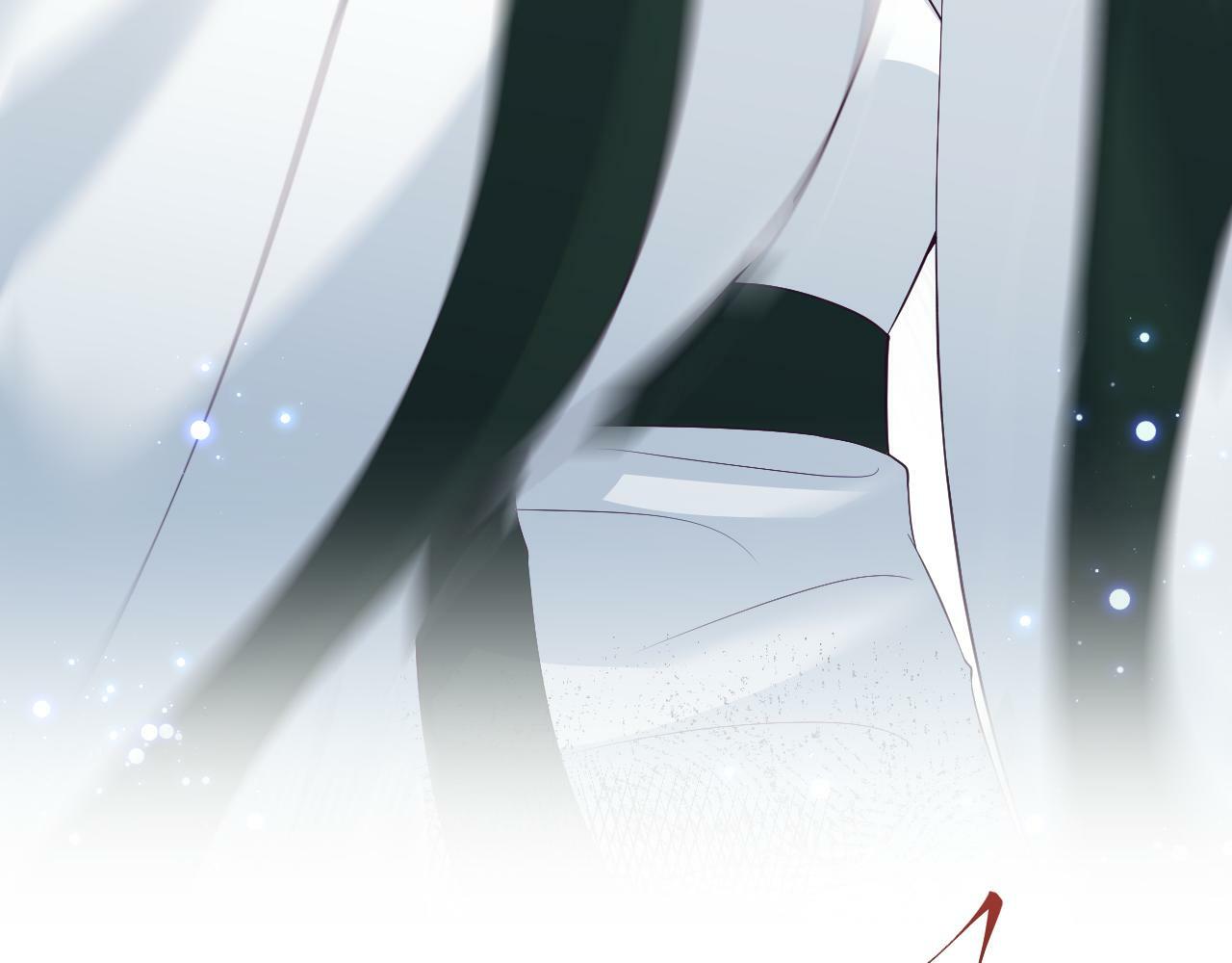 第67话 与国师大人的婚约91