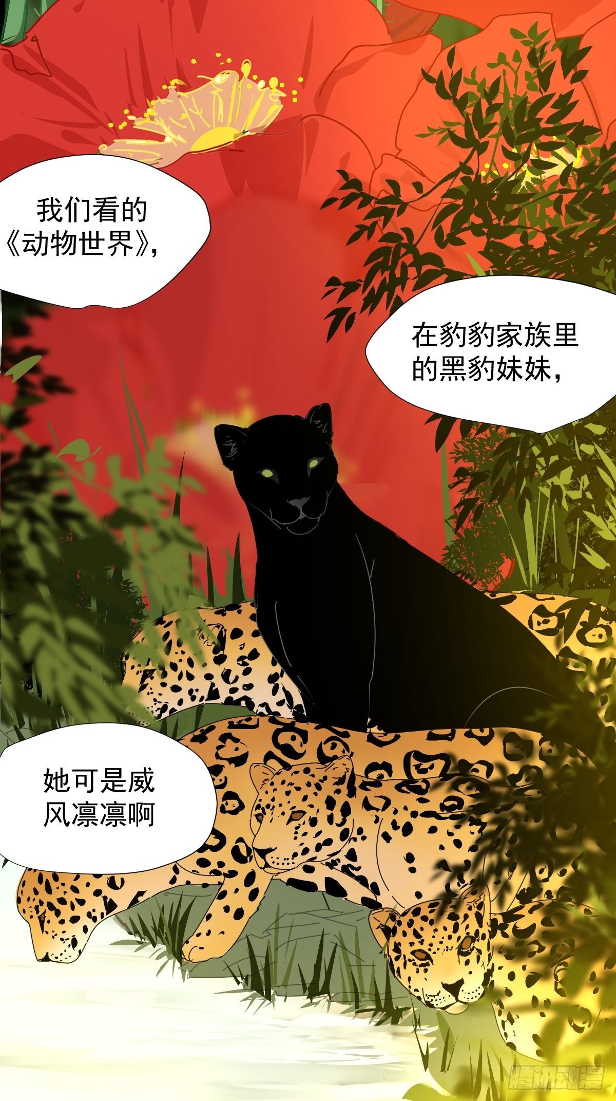 01大自然都接纳它们28