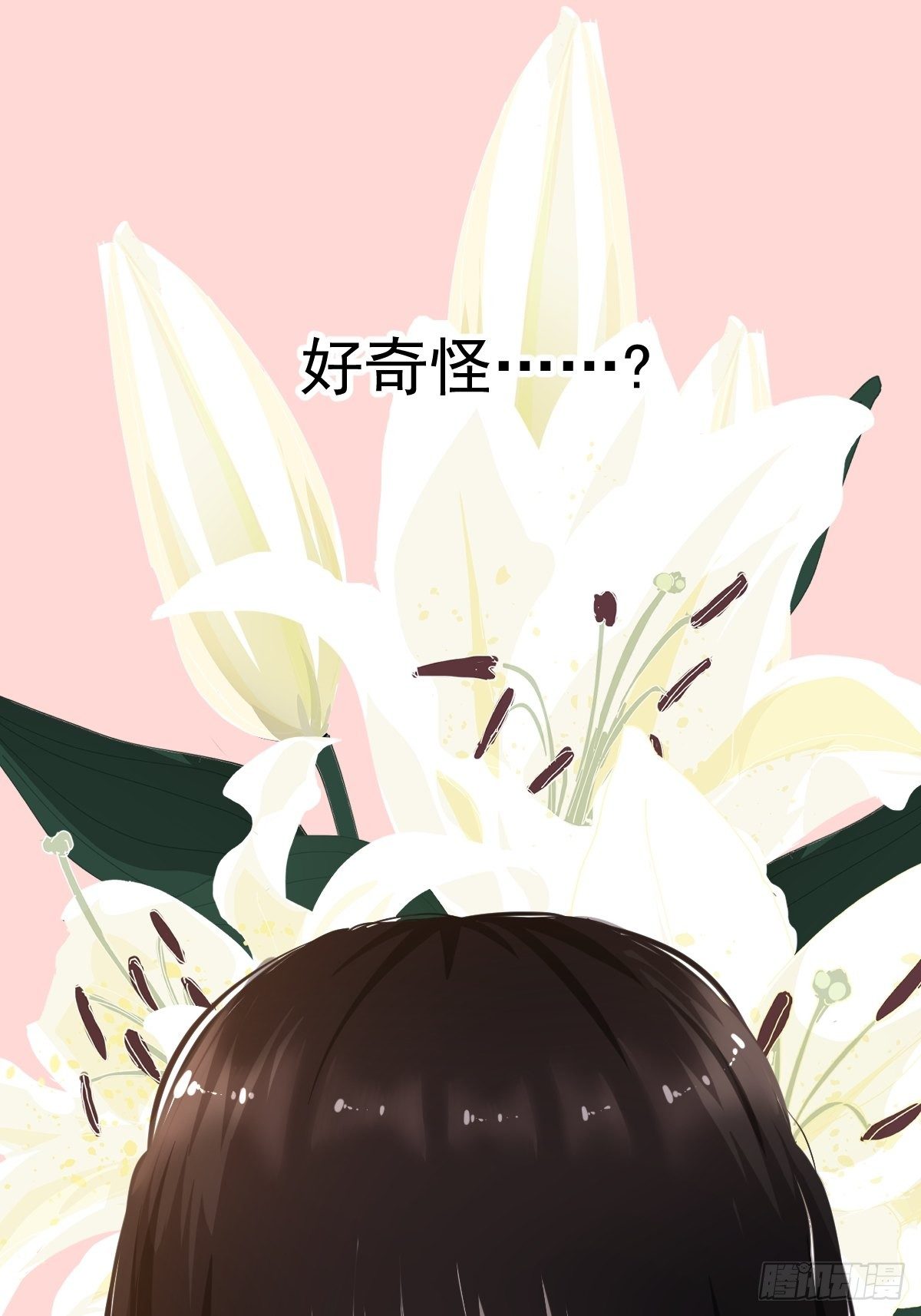 18.好奇怪！38