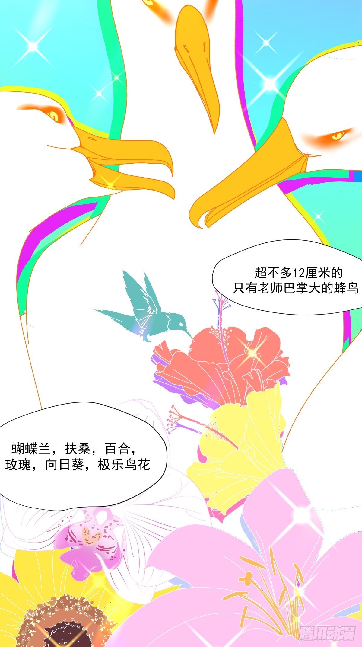 01大自然都接纳它们30