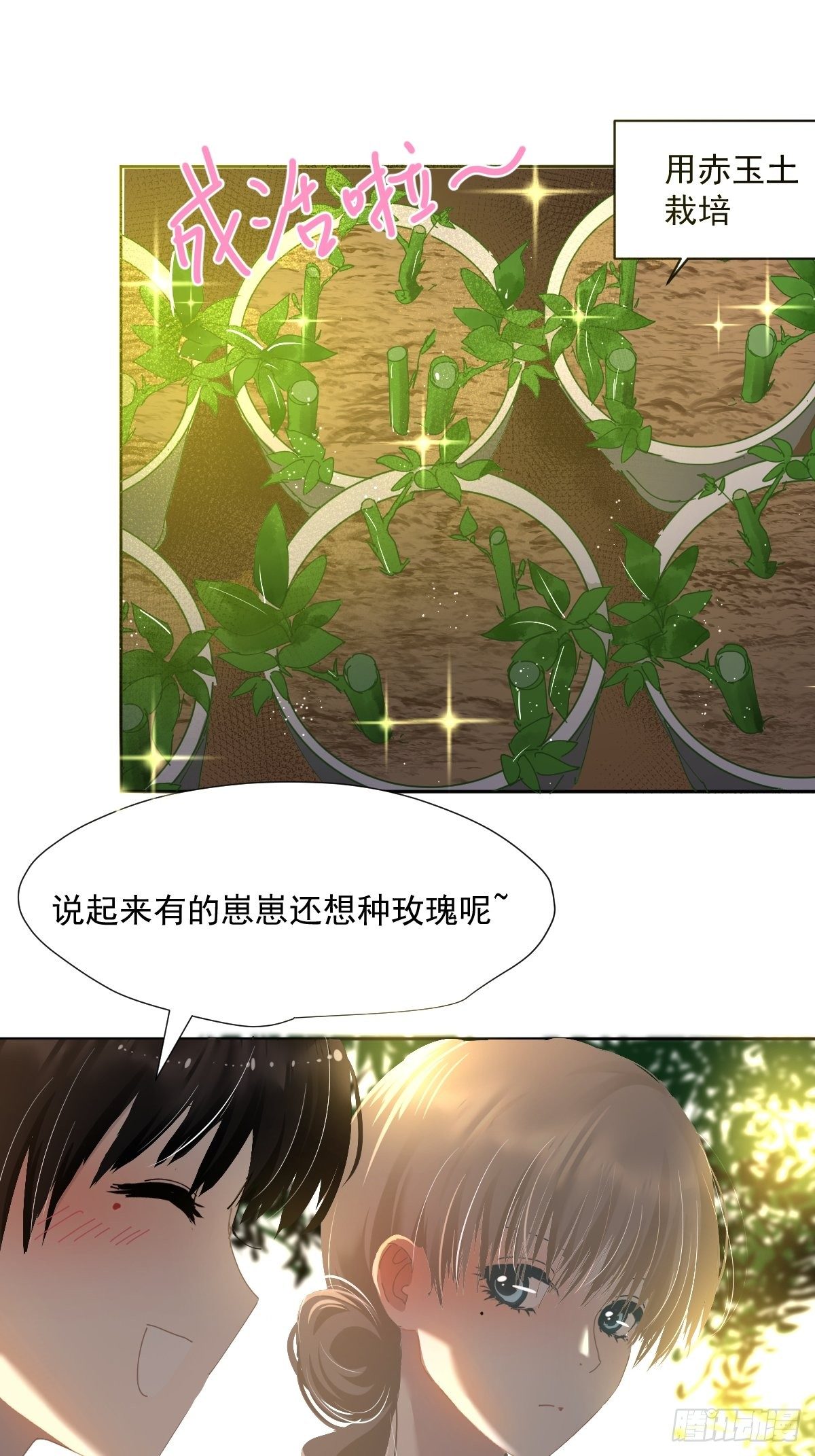 49.卡罗拉13